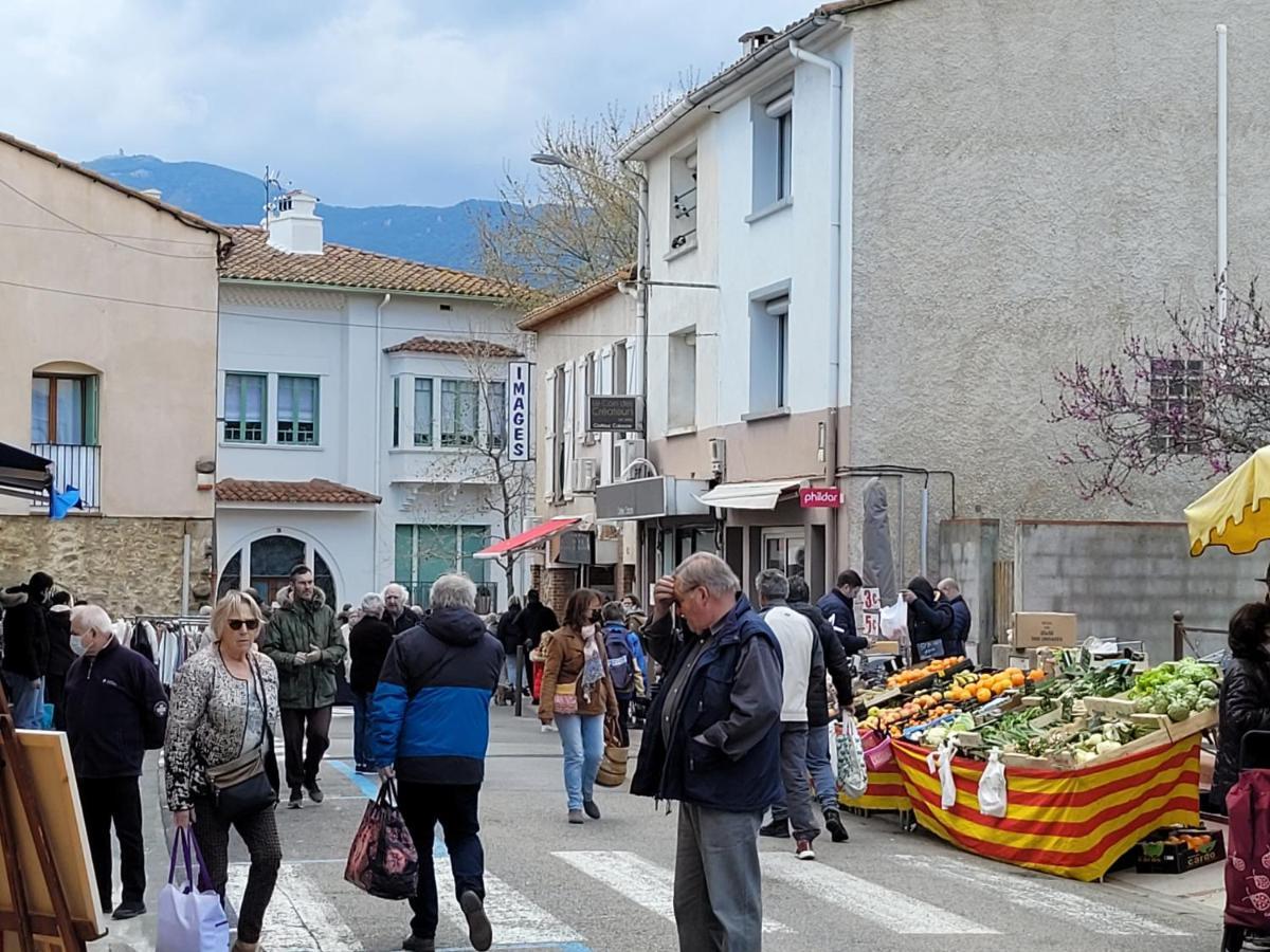 Bienvenue Dans Le Roussillon Apartman Argelès-sur-Mer Kültér fotó